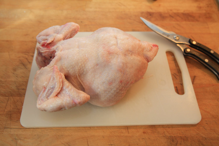 whole chicken, poultry shears, cutting board